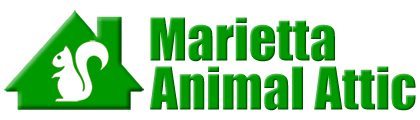 Marietta Animal Attic